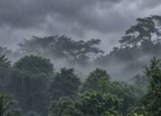 Setelah Lama Bergantung OMC, Hujan Alami Akhirnya Guyur Balikpapan di Tengah Puncak Kemarau