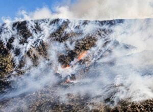 Api Meluas di TPA Putri Cempo, 6 Hektare Terbakar dan 75 Warga Sempat Mengungsi Kebakaran TPA Putri Cempo Solo menghanguskan sekitar 6 hektare area sampah