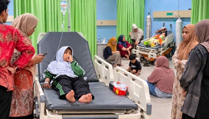 Uji Lab Kasus MBG Sorong Temukan Bacillus cereus pada Buah Naga Potong, Kadarnya Lewati Batas