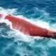 Fakta Virgo Transport 8: Kapal Berusia 39 Tahun Eks Ferry Jepang, Bawa 243 Orang dan 89 Kendaraan Sebelum Terbalik di Laut Jawa