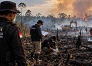 Penyidikan 12 korporasi terkait karhutla di Kalimantan Tengah
