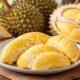 Daging buah durian matang yang disajikan untuk menggambarkan porsi konsumsi durian