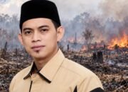 Ilustrasi kasus dugaan pembakaran lahan yang menyeret anggota DPRD Mempawah Choirussaib di Kalimantan Barat