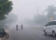 kabut asap sultra mengurangi jarak pandang akibat asap kiriman dan kebakaran hutan lokal