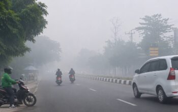 kabut asap sultra mengurangi jarak pandang akibat asap kiriman dan kebakaran hutan lokal