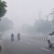 Asap Kiriman Bertemu Karhutla Lokal, 17 Daerah Sultra Waspada