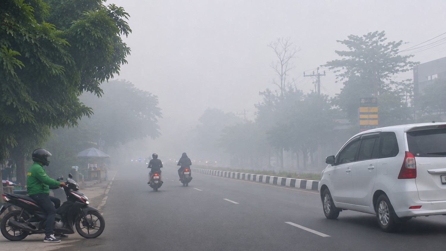 kabut asap sultra mengurangi jarak pandang akibat asap kiriman dan kebakaran hutan lokal