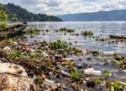 pencemaran danau toba terlihat dari sampah plastik dan limbah di tepian danau