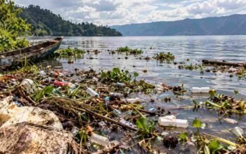 pencemaran danau toba terlihat dari sampah plastik dan limbah di tepian danau