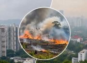 Ilustrasi kebakaran hutan dan lahan di Kalimantan terkait penyelidikan Singapura terhadap tiga perusahaan Indonesia.