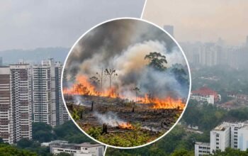 Ilustrasi kebakaran hutan dan lahan di Kalimantan terkait penyelidikan Singapura terhadap tiga perusahaan Indonesia.